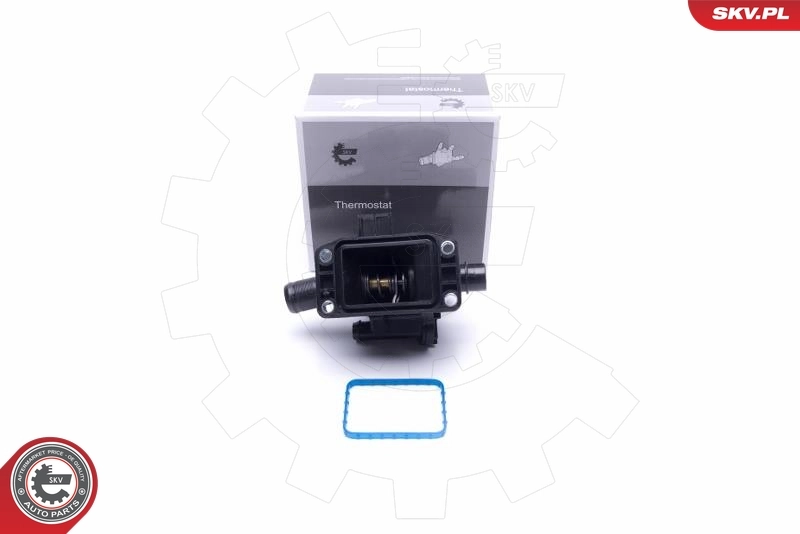 Thermostat, coolant